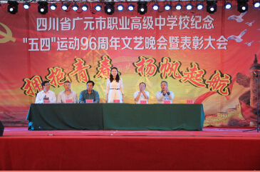 团市委黄燕副书记与我校领导一起出席晚会.jpg